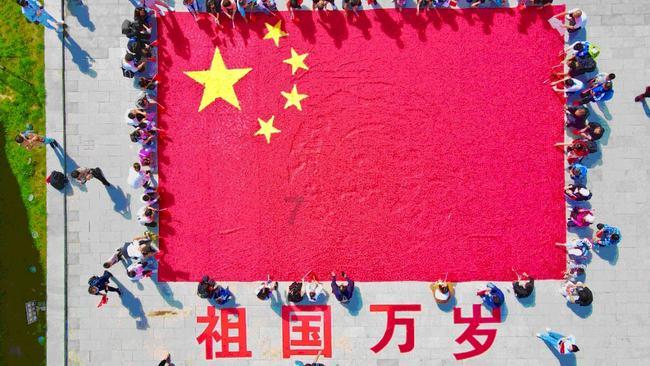 关于秋海棠的古诗词游戏画面